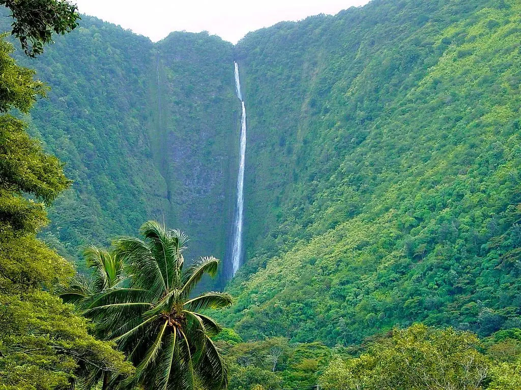 شقة Hale “Ha Ha” Pahoa 0*,  الولايات المتحدة الأمريكية